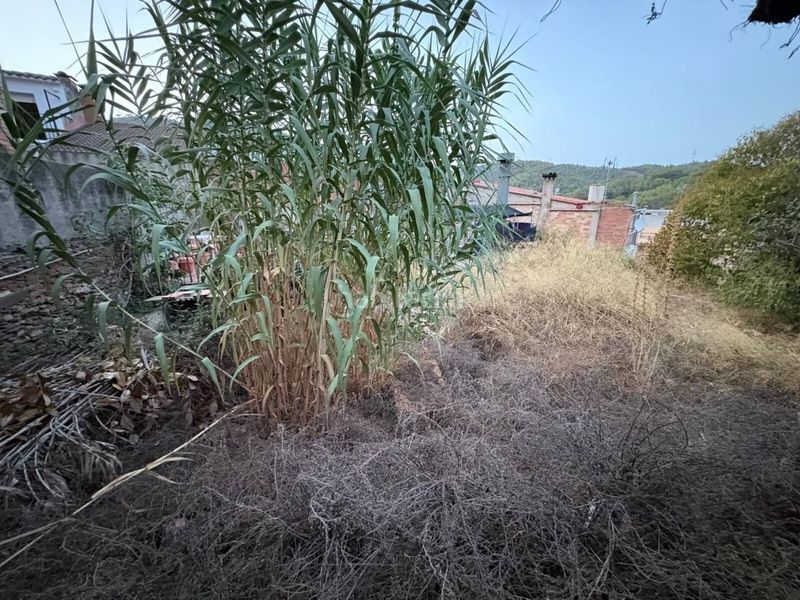 Foto f491ed2b-0a6d-4122-8d84-ba0f24a5728f. Finca rústica venta de finca rústica de 182 m en Sant Climent de Llobregat
