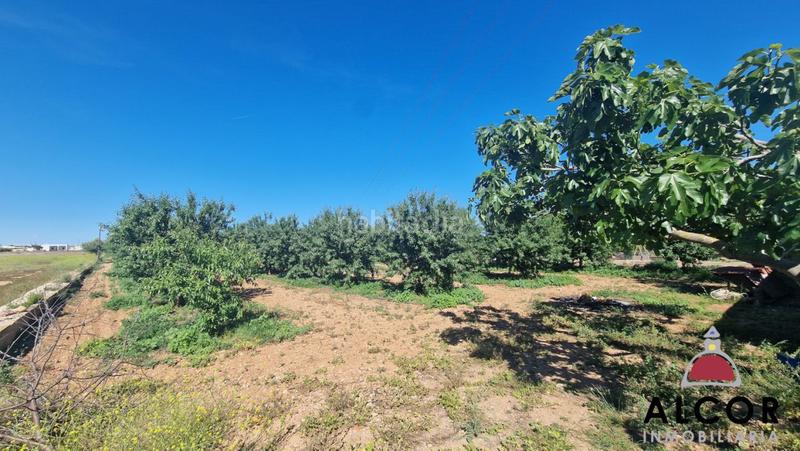 Foto 019933c6-38d1-4624-a111-62cb58ae34e2. Casa in Pueblo Benicarló