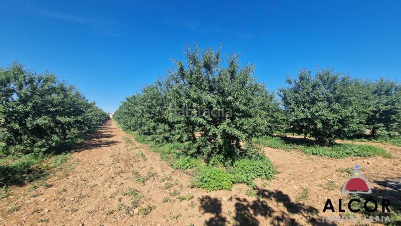 Foto 7254127e-c63a-4f4b-b2fb-d979e66ffcc1. Casa in Pueblo Benicarló