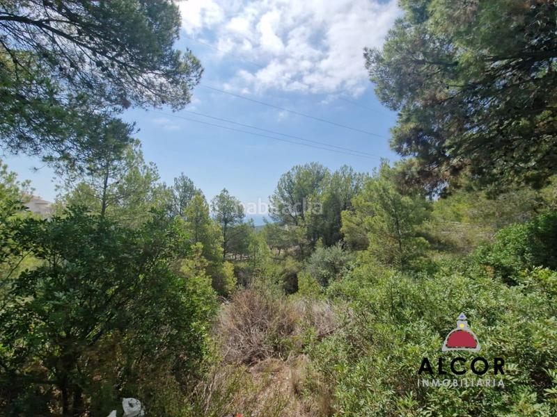 Foto b60473e3-5e1b-4ea5-9150-c1c352010062. Residential plot in mediterraneo 16 in Costa Sur Peñíscola