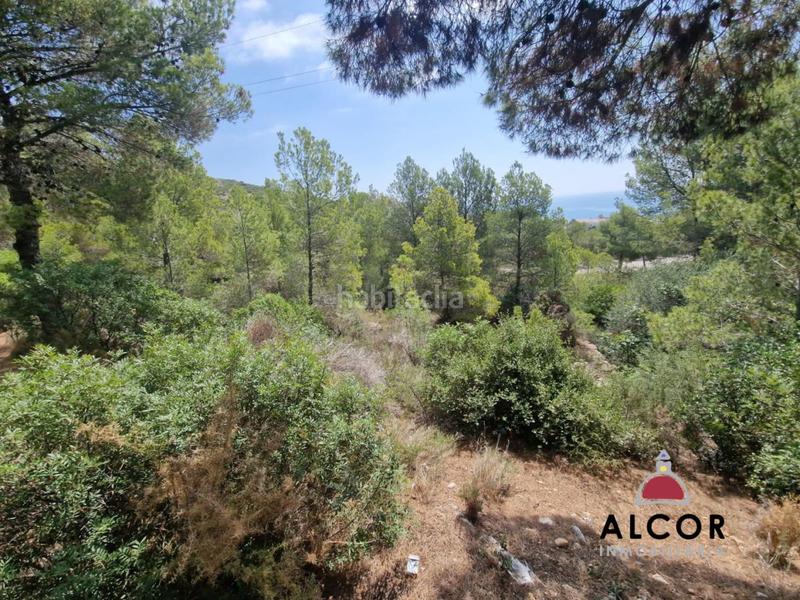 Foto c3f8415b-02c5-47d4-b013-f853b023aedf. Residential plot in mediterraneo 16 in Costa Sur Peñíscola