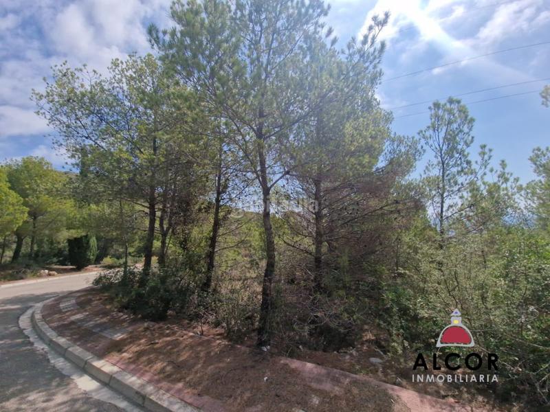 Foto ffce2ff8-9425-48c2-bb30-ff63953313ac. Residential plot in mediterraneo 16 in Costa Sur Peñíscola