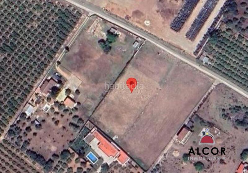 Foto fef112a5-6d4e-406c-9e77-1e6da2e7eac9. Terreno residencial parcela en venta en vinaros. en Vinaròs