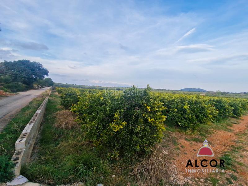 Foto 31971f20-9637-403d-8718-4cb374a9e2f5. Casale in Cálig