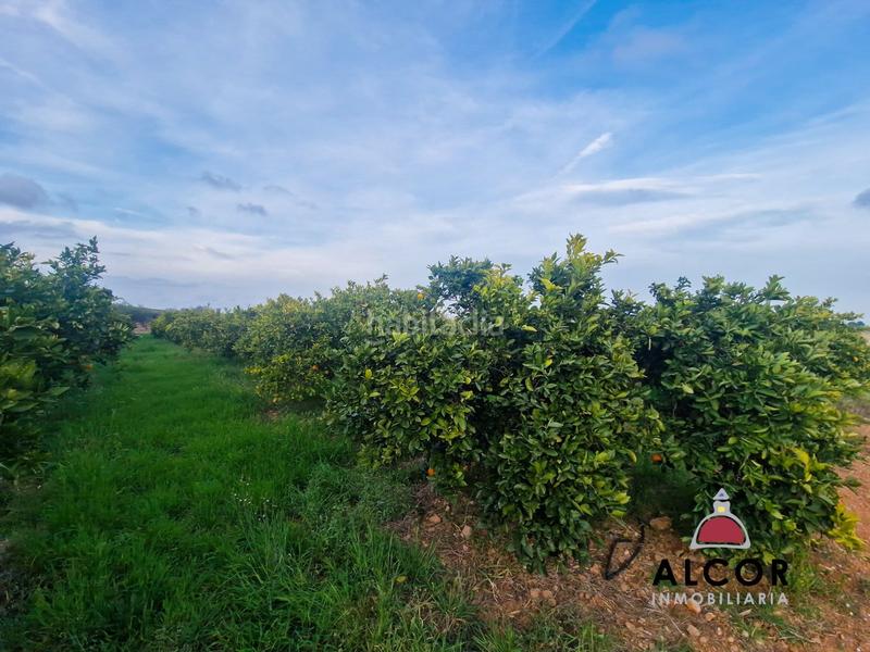 Foto 389f70a8-bd71-4555-9f01-aac496b22deb. Casale in Cálig