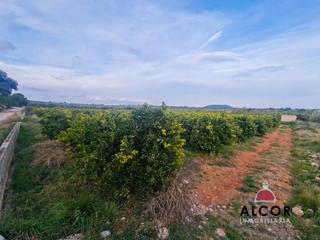 Masia  3. Finca rúst. en venta en calig.