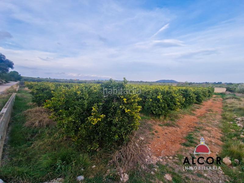 Foto c8e22bb8-984f-4943-b266-0b30e6561415. Casale in Cálig