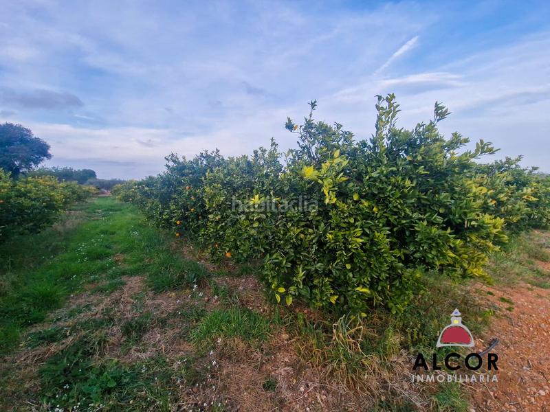 Foto e02d88bc-dcd5-45e0-b235-8b45aba96aa2. Casale in Cálig