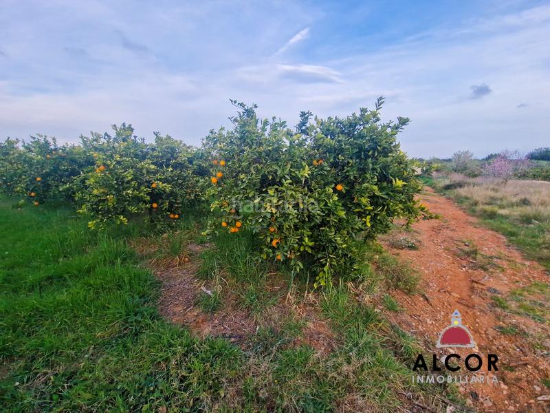 Foto eec89bcf-94bf-4604-b108-e4dcd03c401d. Casale in Cálig