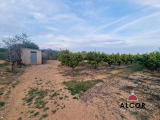 Masia  N/a. Finca rúst. en venta en calig.