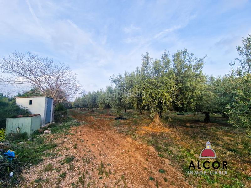 Foto 1257b43d-1c35-4cac-b122-369e60ee1e04. Country house in Cálig