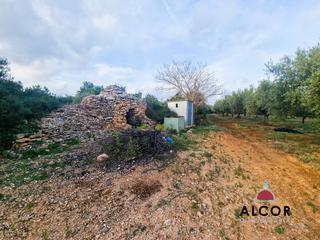 Masia  15. Finca rúst. en venta en calig.