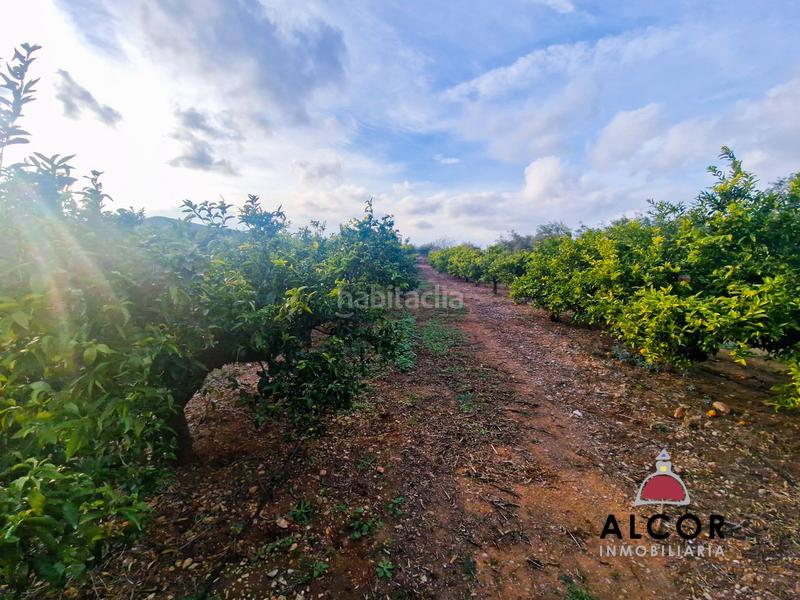 Foto 71c2731c-7507-48c1-b75d-fd98fe433014. Masía finca rúst. en venta en calig. en Casco Antiguo-Darremur Almazora / Almassora