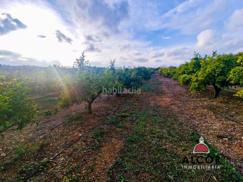 Foto 73cb4c68-ea28-4010-bd8b-37489020f1f8. Masía finca rúst. en venta en calig. en Casco Antiguo-Darremur Almazora / Almassora