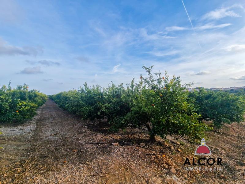 Foto b2e851a9-8b0a-44da-87ca-106bdf121d84. Masía finca rúst. en venta en calig. en Casco Antiguo-Darremur Almazora / Almassora