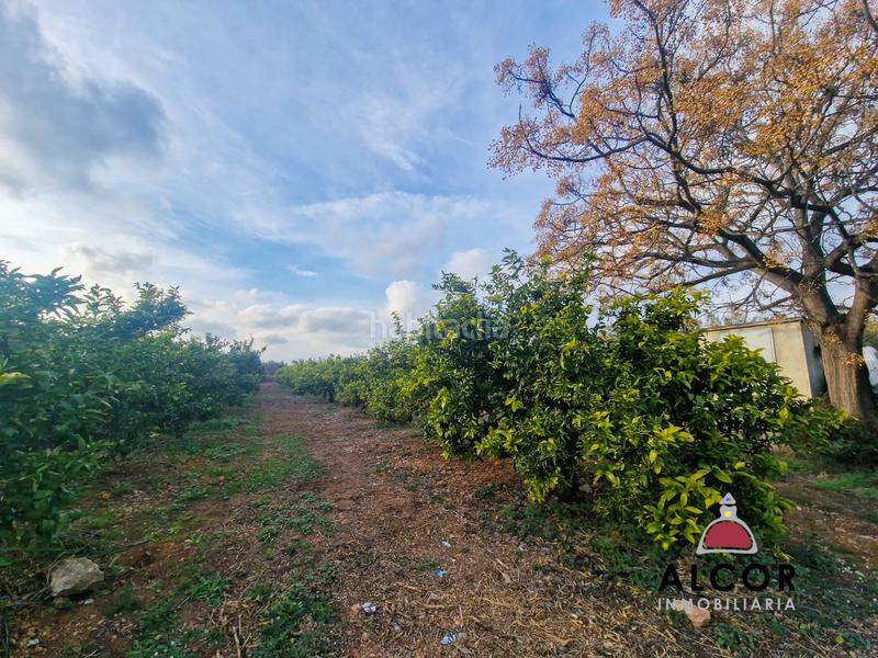 Foto b9d84e79-7eca-4240-8848-b99160f025be. Masía finca rúst. en venta en calig. en Casco Antiguo-Darremur Almazora / Almassora