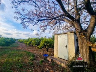 Mas  16. Finca rúst. en venta en calig.