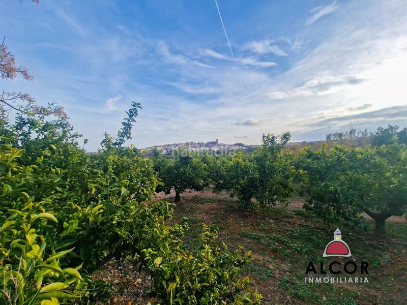 Foto c3829492-9d90-4ee1-8b8e-d5d9160bde65. Masía finca rúst. en venta en calig. en Casco Antiguo-Darremur Almazora / Almassora