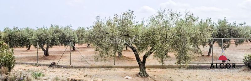 Foto 6fe88156-ddaf-4a11-823a-f3a144a470f9. Masia a San Jorge