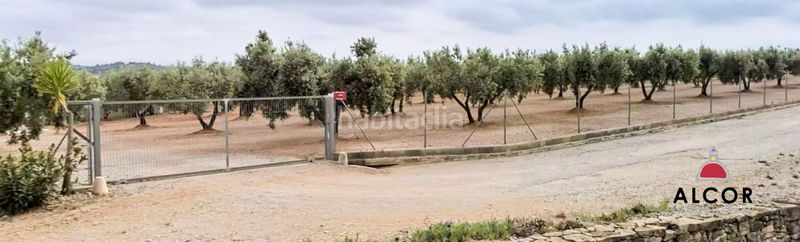 Foto 8b22b139-e655-40bf-b60d-05797c43929b. Masia a San Jorge