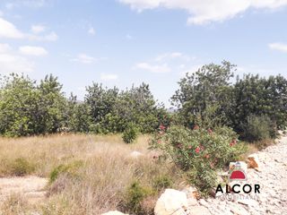 Terreno residenziale in Alcalà de Xivert. Parc. rúst. en venta en alcala de xivert.
