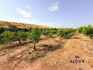 Terreno residenziale in Cervera del Maestre. Parc. rúst. en venta en cervera del maestre.