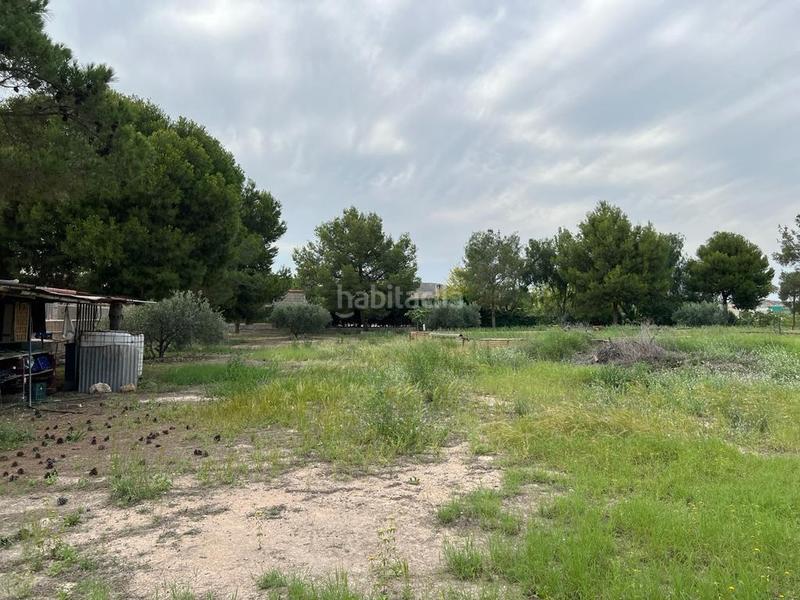 Foto b51e50da-45b5-432e-9a6d-e431cfc70f1a. Fondo rustico in Sangonera la Seca Murcia