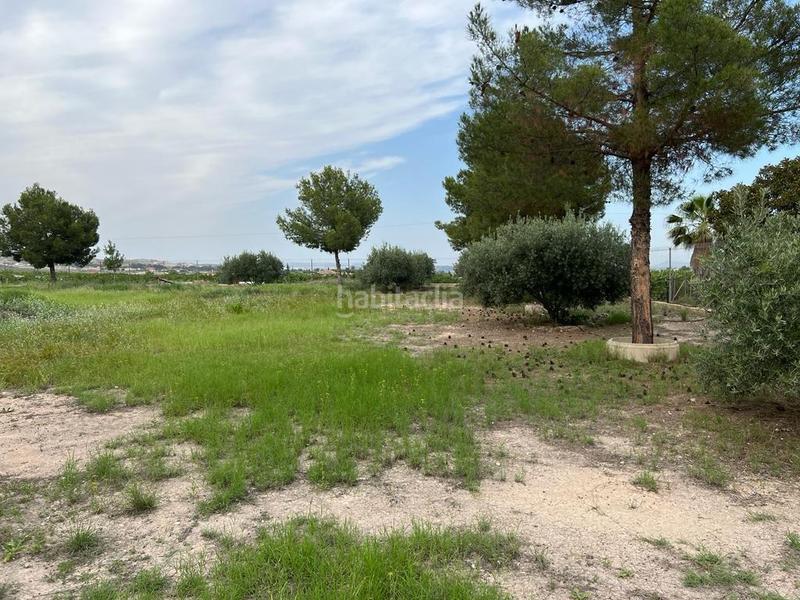 Foto c78ac6a4-4960-4717-a4a4-0ac288af07c7. Fondo rustico in Sangonera la Seca Murcia