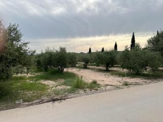 Finca rústica a Sangonera la Seca. Terreno rustico