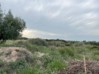 Finca rústica a Valladolises y Lo Jurado