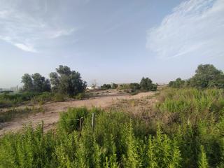 Finca rústica en Sangonera la Verde. Parcela rusticaindustrial zona del mayayo en el palmar.
