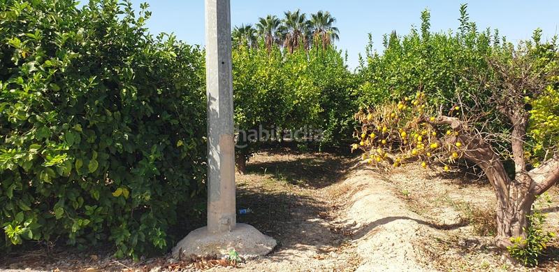 Foto eaa39067-2658-4954-9171-3acc46dbc7f1. Terreno residenziale in Aljucer Murcia