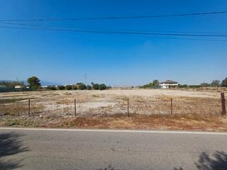 Terreny residencial a El Palmar. Venta terreno urbanizable el palmar