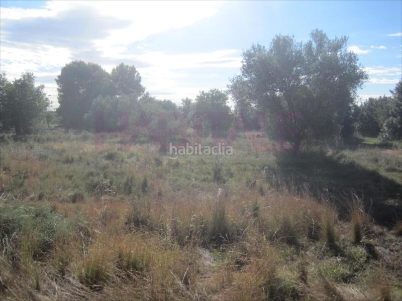 Foto 0ab81226-eb55-479f-90fe-07748dc35000. Wohngrundstück in Polígono del Aeropuerto Manises