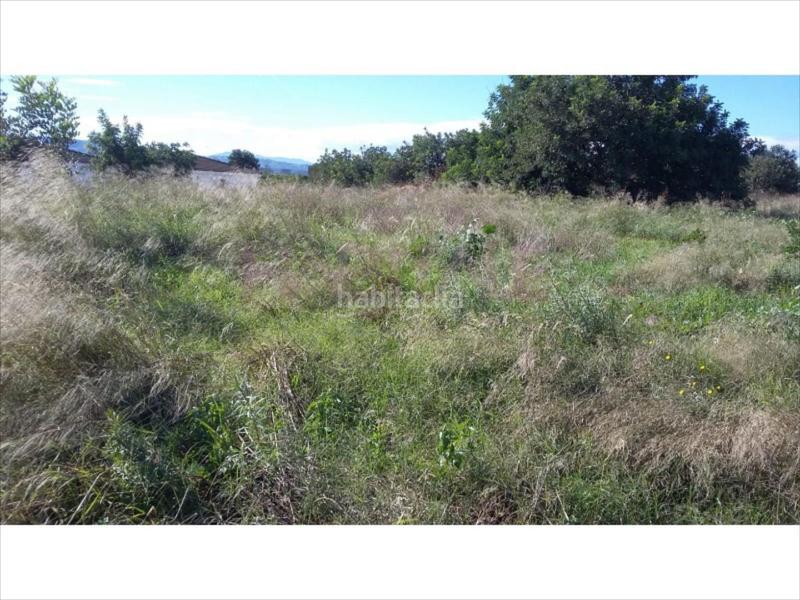 Foto 3a5bdf50-3228-4652-acce-cdeb32ec2bff. Wohngrundstück in Polígono del Aeropuerto Manises