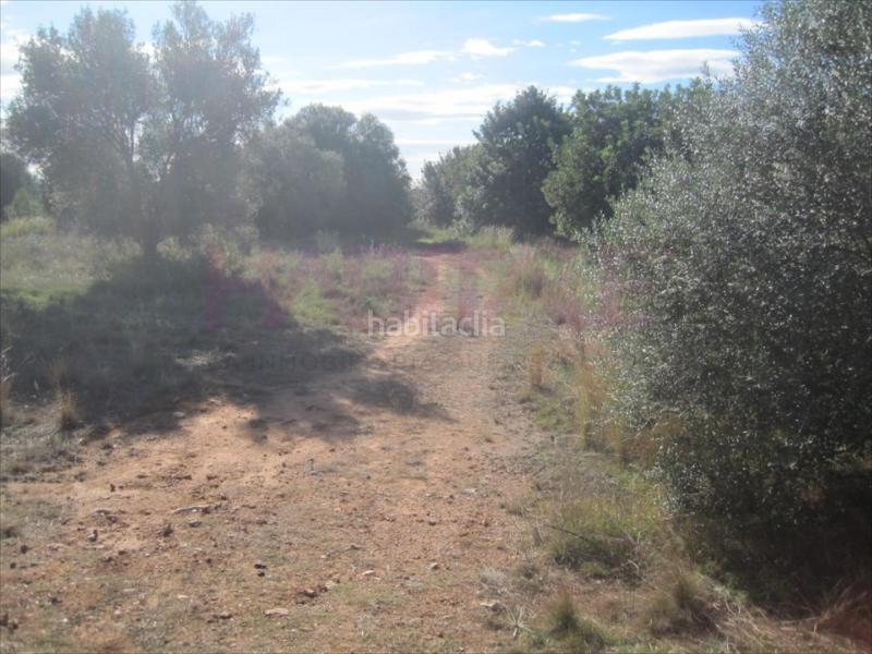 Foto 5dd8cc7a-28cc-466d-b885-c643ac46d954. Wohngrundstück in Polígono del Aeropuerto Manises