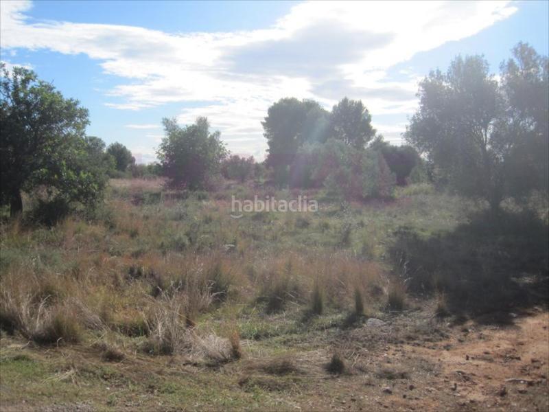 Foto 23e14044-55ef-4908-abcf-fa7d800cc656. Wohngrundstück in Polígono del Aeropuerto Manises