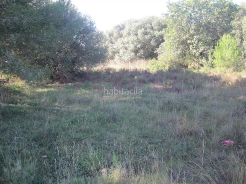 Foto 26a45566-98b7-408a-9678-541e9ac7ab61. Wohngrundstück in Polígono del Aeropuerto Manises