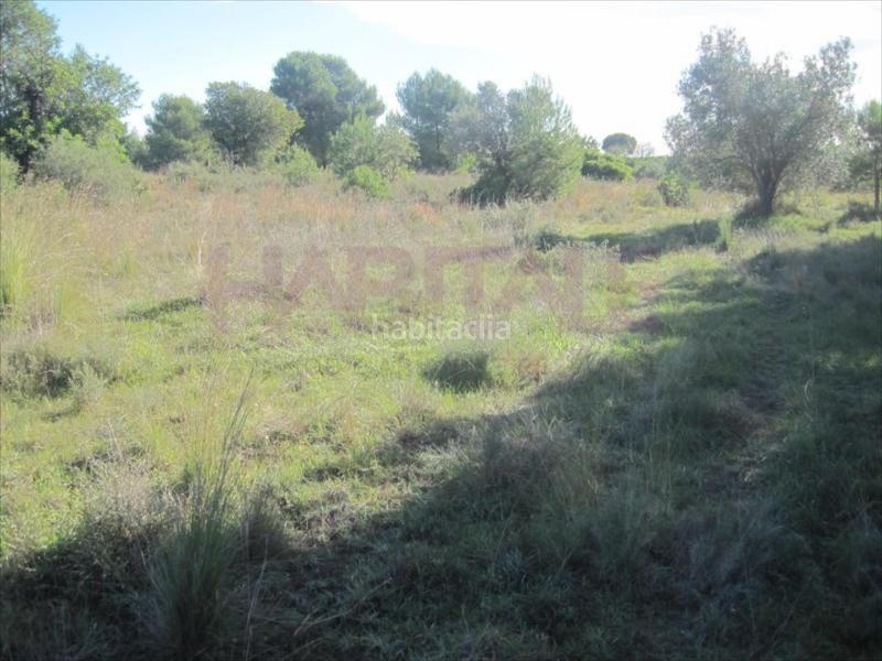 Foto 48b47883-341d-4169-abc6-f1af73d6fa11. Wohngrundstück in Polígono del Aeropuerto Manises