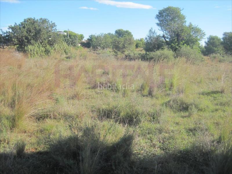 Foto e1d95e37-9ee5-4367-b6d9-2b40a1cc72b1. Wohngrundstück in Polígono del Aeropuerto Manises