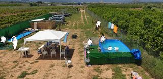 Rural plot in Cheste. Se vende parcela en cheste con agua