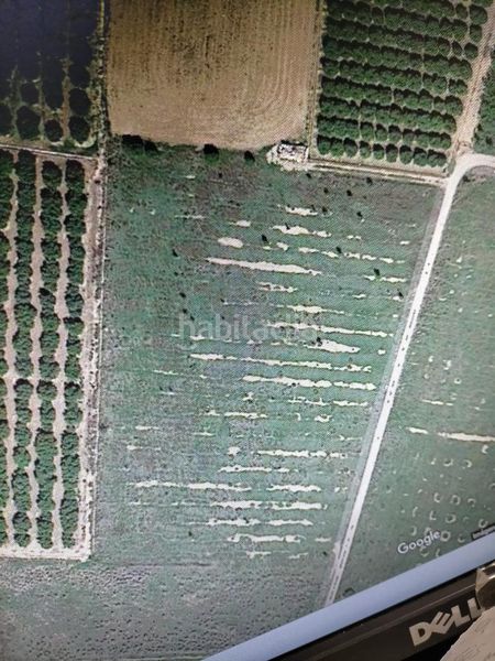 Foto 3d7da419-c9fe-4db3-98aa-0fdeda4b391f. Finca rústica a Aldaia