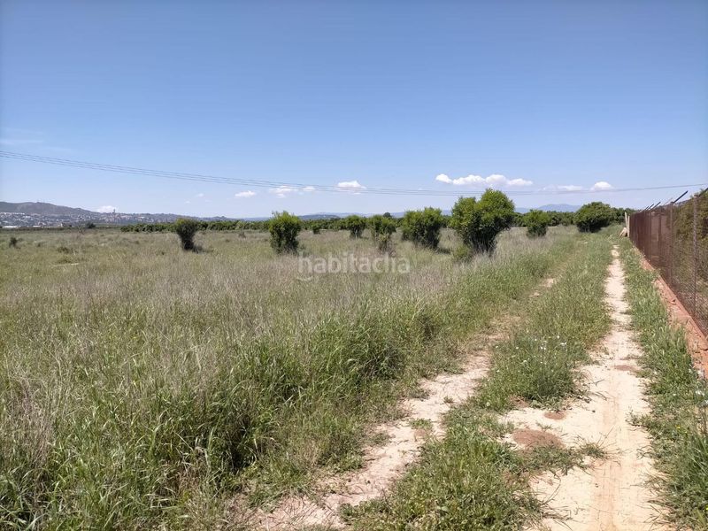 Foto 94f70ed7-01b6-43ed-83bb-c565dc54bdb6. Finca rústica a Aldaia