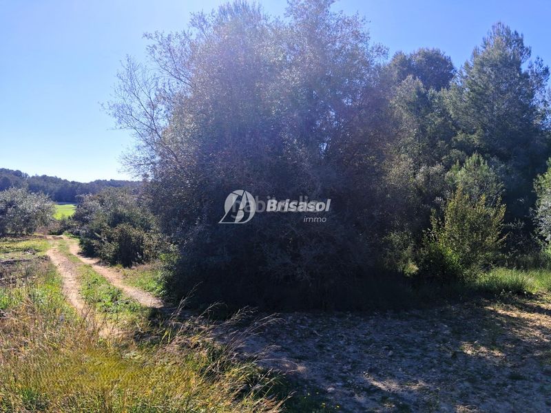 Foto 02dd7a8c-12d3-46ab-9b36-4543e4978267. Finca rústica a Secuita (La)