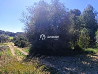 Propriété à Secuita (La). Finca rústica en la secuita espacio, calma y versatilidad