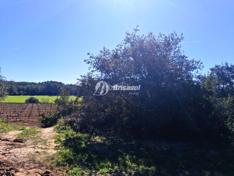 Foto 767ff468-7304-48be-b064-f3a2717901df. Finca rústica a Secuita (La)
