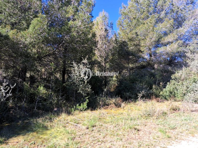 Foto e4ca4284-36af-4368-a2a8-bb853fbd890b. Finca rústica a Secuita (La)