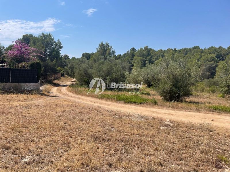 Foto e7fa9da8-a10a-4ea9-9c67-863f24204b45. Terreny residencial a Catllar (El)