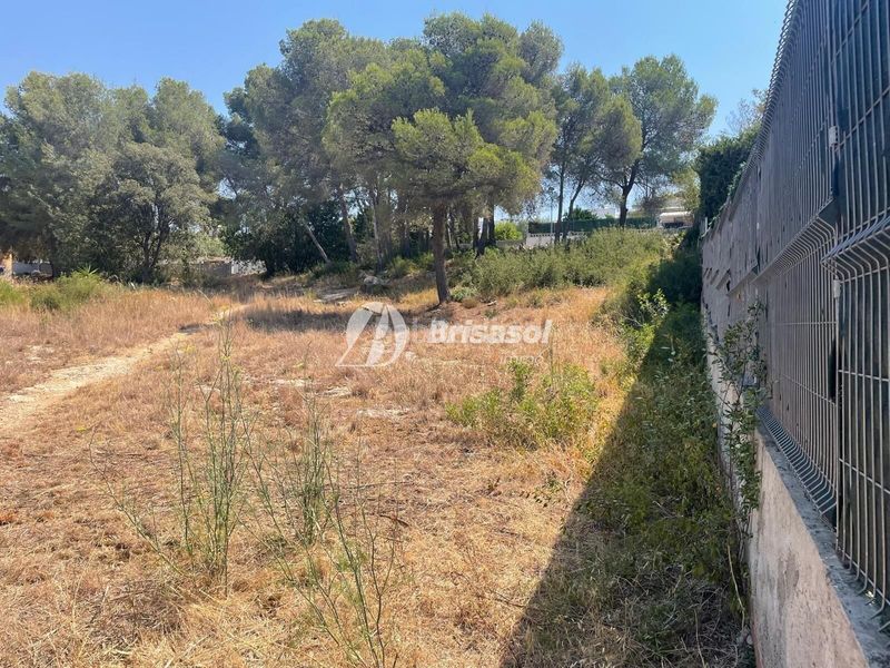 Foto ed4300b3-e9b0-4b71-a12b-f1bebf5f278a. Terreny residencial a Catllar (El)