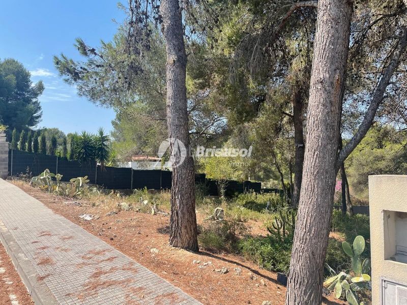 Foto fe9c028f-5604-4b89-8cc0-99129eda32c6. Terreny residencial a Catllar (El)